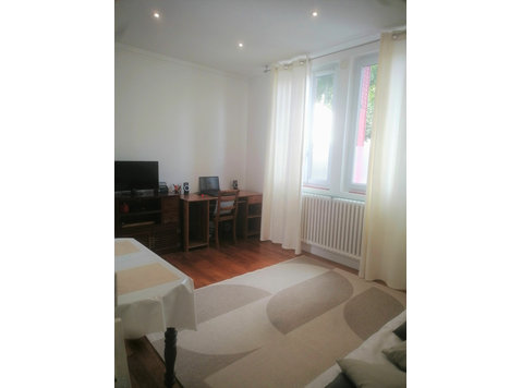 Lovely and fully equipped two-room apartment and its nice… - À louer