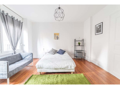 Large and pleasant bedroom  20m² - Leiligheter