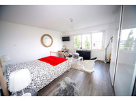Large bright room  20m² - Asunnot