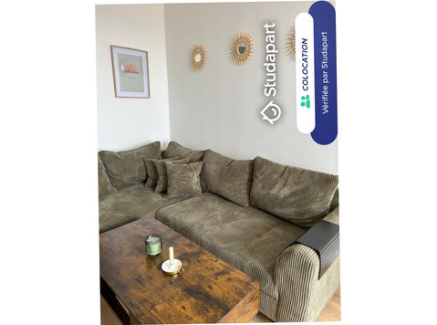 Frigo, lave-linge, lave-vaisselle, bouilloire, micro-ondes,… - De inchiriat