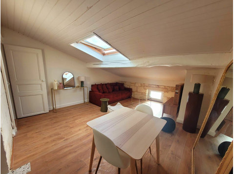 Beautiful flat in the heart of Bordeaux - For Rent
