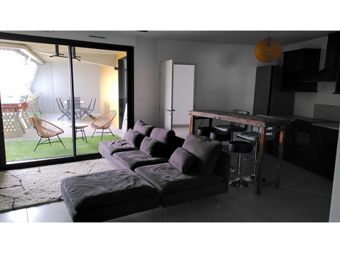Charming 3 rooms apartment facing the Lez River Montpellier - Annan üürile