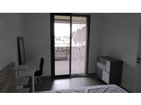 Charming 3 rooms apartment facing the Lez River Montpellier - For Rent
