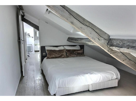 Rental Furnished flat - 3 rooms, Quartier Latin - Saint… - Vuokralle
