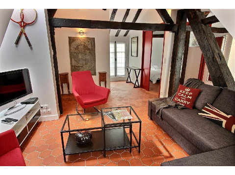 Superb two bedroom flat with sofa bed in the heart of paris - Te Huur