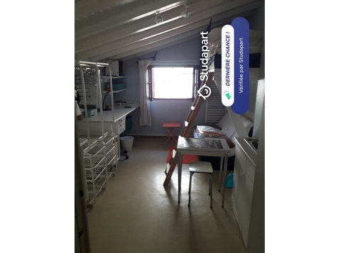 Le studio a une superficie  aménagée il comprend une grande… - 임대
