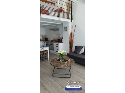 loft entièrement refait meublé situé dans la vieille ville… - Ενοικίαση