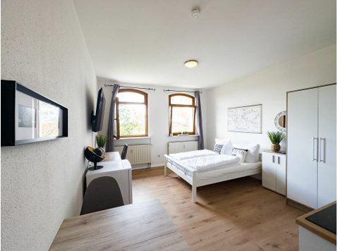 1-room business apartment. *Near Strasbourg & Europa Park* - 임대