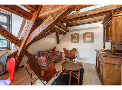 Apartment in Mühlen Castle - For Rent