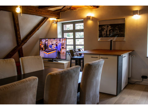 Beautiful and perfect loft in Horb am Neckar - For Rent