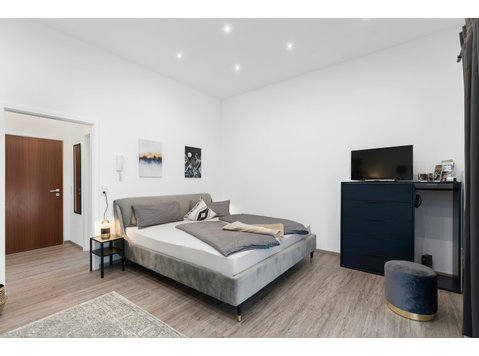 Charming & beautiful 1 room apartment in Friedrichshafen - Annan üürile