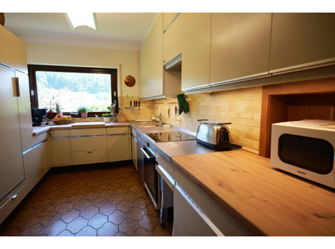 Luxurious apartment in a fantastic location in Seelbach - De inchiriat