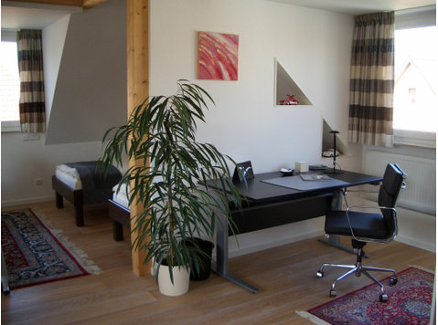 Modern apartment in the center of Sindelfingen - In Affitto