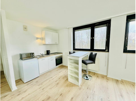 Modern möbliertes Apartment in Ludwigshafen-Friesenheim,… - Zu Vermieten