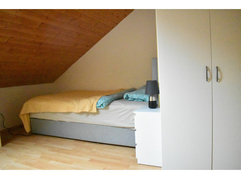 Neat & pretty room in shared apartment - For Rent