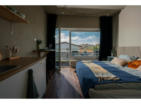 New & wonderful studio in Bermatingen - De inchiriat
