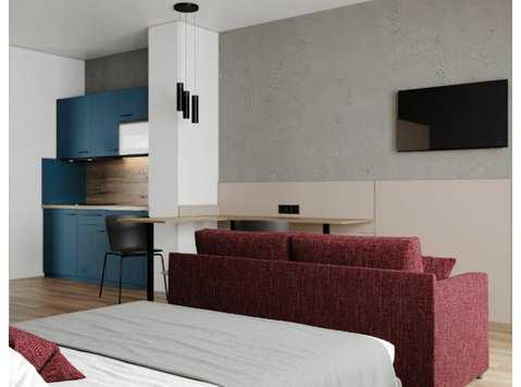 The Amazing studio apartment with balcony in Singen… - For Rent