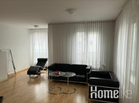 2 kamer appartement in Wernau - Appartementen