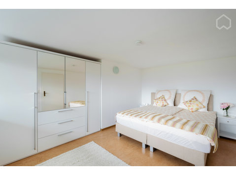 Paradisiac apartment located in Rheinfelden (Baden) - For Rent
