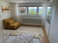 Paradisiac apartment located in Rheinfelden (Baden) - À louer
