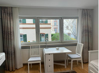 Lovely and fashionable flat in Heidelberg - کرائے کے لیۓ