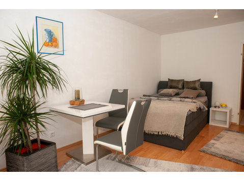 Stylish studio apartment in Heidelberg - Aluguel