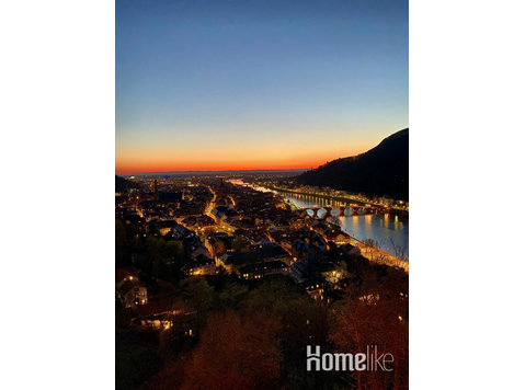 Living & working in the heart of Heidelberg - דירות