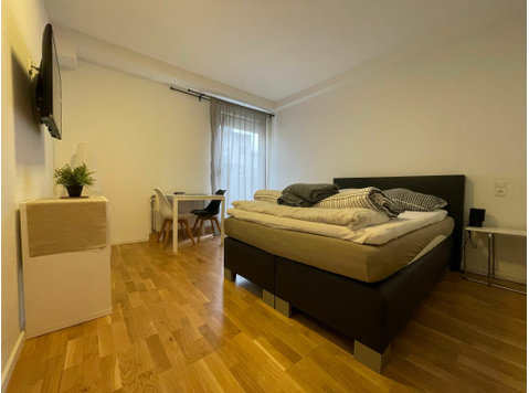 Simplex Apartments: studio apartment, Karlsruhe - For Rent