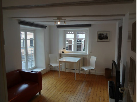 Beautiful, fully equipped apartment in an historic house in… - For Rent