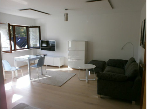 Charming and fully furnished apartment in Karlruhe - Til leje