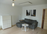 Charming and fully furnished apartment in Karlruhe - Alquiler