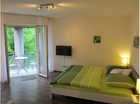 Modern apartment - In Affitto