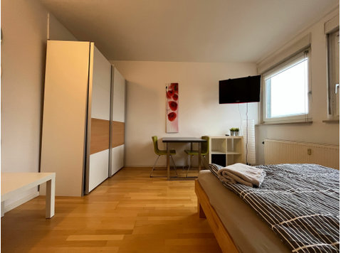 Simplex Apartments: spacious apartment, Karlsruhe - Izīrē