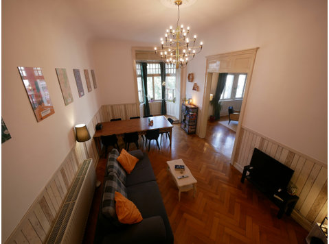 Spacious and central apartment in Karlsruhe - השכרה