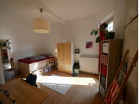 Spacious and central apartment in Karlsruhe - K pronájmu
