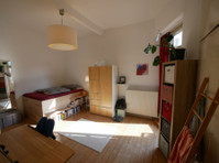 Spacious and central apartment in Karlsruhe - アパート