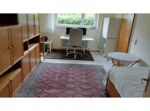1 ROOM APARTMENT IN BADEN-BADEN, FURNISHED, TEMPORARY - Appartements équipés