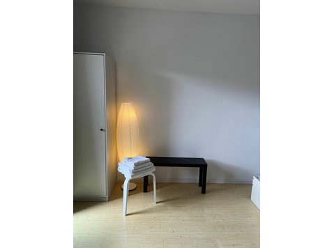 1 room apartment - fully furnished - Mannheim Oststadt - Annan üürile