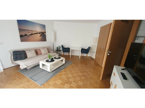 Bright & cozy studio located in Downtown of Mannheim - For Rent