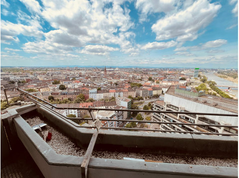 Bright, modern flat above the rooftops of Mannheim - Til Leie