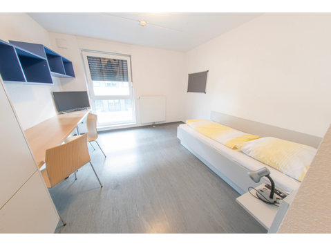Bright studio apartment near the university in Mannheim - For Rent