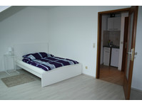 Cozy 1-room-Apt in Mannheim Rheinau - Te Huur