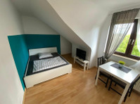 Cozy 1-room-Apt in Mannheim Rheinau - À louer