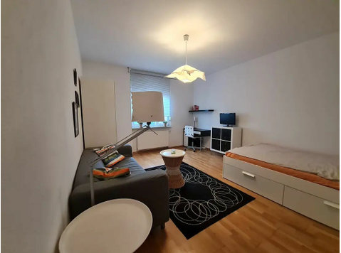 Cozy and gorgeous loft in Mannheim - For Rent