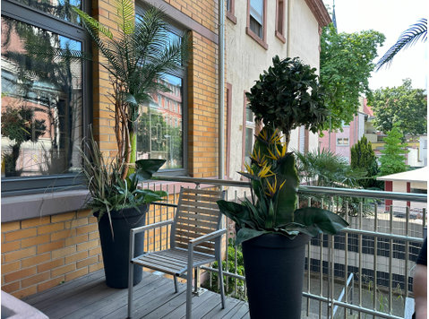 High level Apartment & Suite - De inchiriat