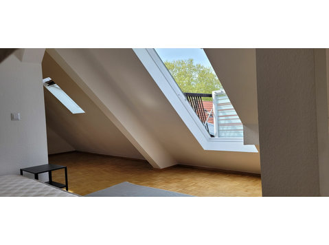 Lovely apartment in Mannheim - De inchiriat