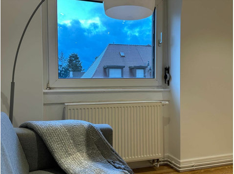 Lovely suite located in Mannheim - Annan üürile