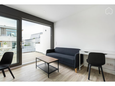 New apartment with amazing roof top terraces in Mannheim - For Rent