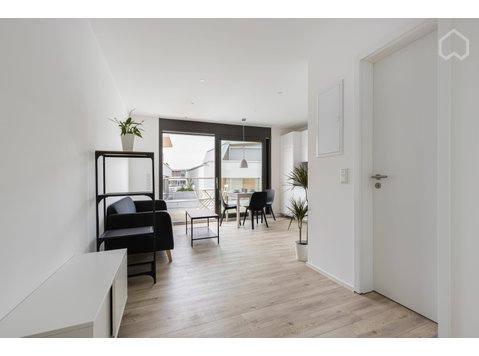 New apartment with amazing roof top terraces in Mannheim - Annan üürile