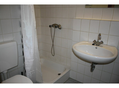 Nice small Apartment in Mannheim City Center - 	
Uthyres